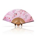 Fan - Plum Blossom